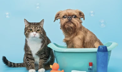 Baño canino y felino