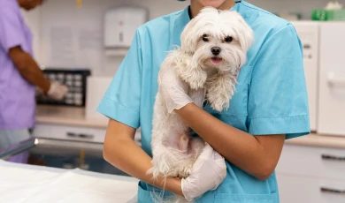 Consulta médica general y especializada