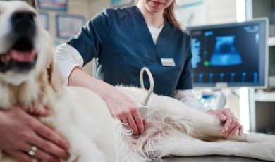 Laboratorio clínico e imagenología