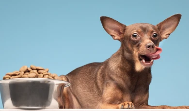Orientación nutricional