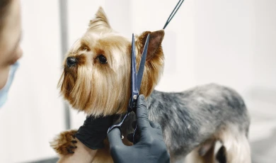 Según raza o personalizada