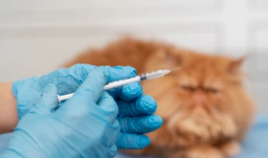 Vacunación y desparasitación